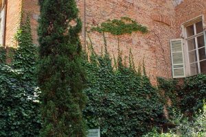 0.2 Castello Piea (2)