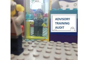 3.4 Lego Serious Play Audit ISO 19011 (2) 3.4 Lego Serious Play Audit ISO 19011 (2)